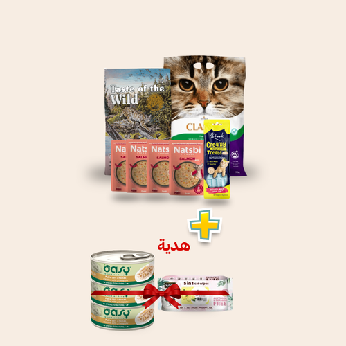 Package 6