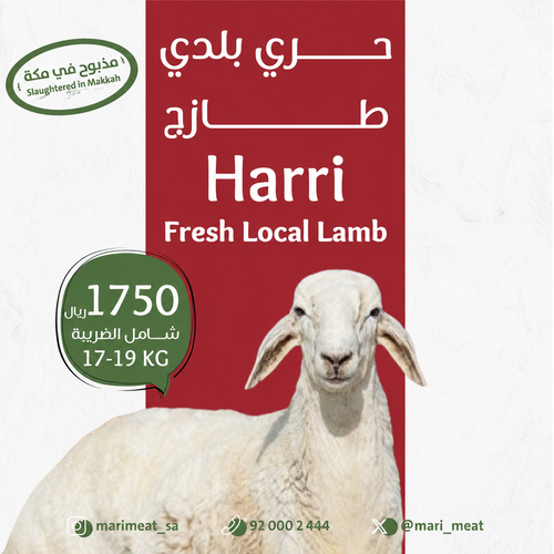 ذبيحة حري بلدي طازج 17-19 كيلو