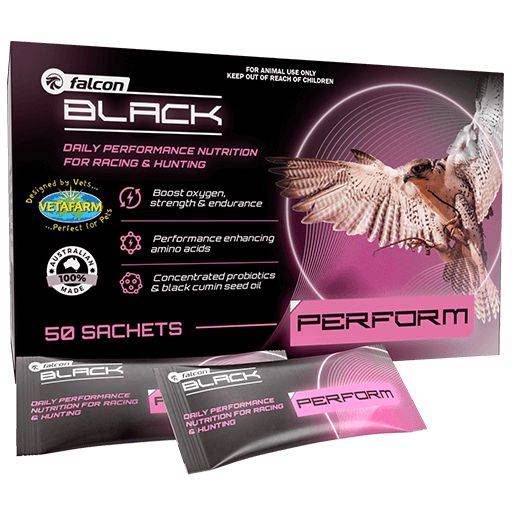  فالكون بلاك  موسم الصيد والسباق يتطلب أداء الصقور. Falcon Black Performance عبارة عن مزيج فريد من العناصر الغذائية التي تعمل على تحسين الأداء لزيادة عدد الخلايا الحمراء وطاقة العضلات والقدرة على التحمل خلال موسم السباق/الصيد. يحتوي Falcon Black Performance أيضًا على بروبيوتيك عالي التركيز وزيت بذور الكمون الأسود لدعم جهاز المناعة وزيادة المقاومة الطبيعية للأمراض، والحفاظ على أعلى مستويات الصحة والحالة.