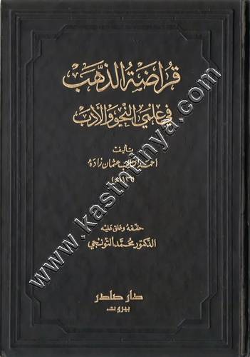 قراضة الذهب في علمي النحو والادب | ط دار صادر