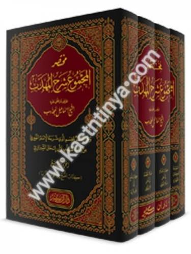 مختصر المجموع شرح المهذب -  إسماعيل المجذوب - دار ابن كثير