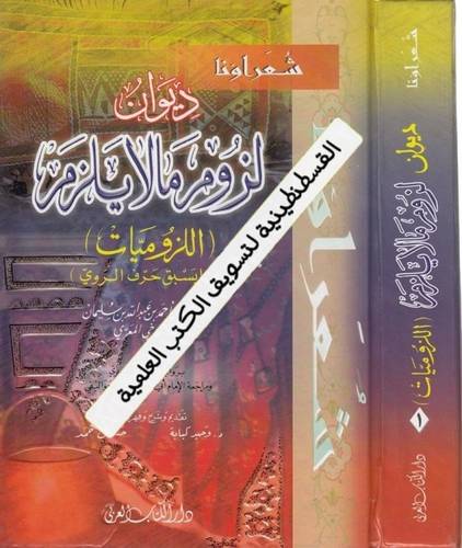 ديوان لزوم ما لايلزم 2 مجلد