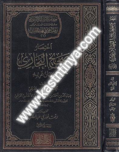 اختصار صحيح البخاري وبيان غريبه 5 مجلدات