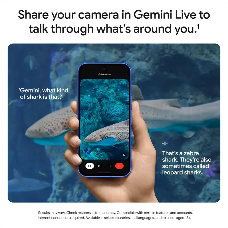 pixel 10