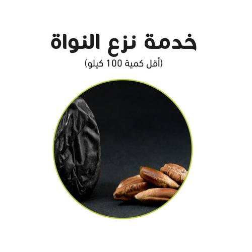 خدمة نزع النواة 