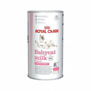 Royal Baby Cat Mailk 300g