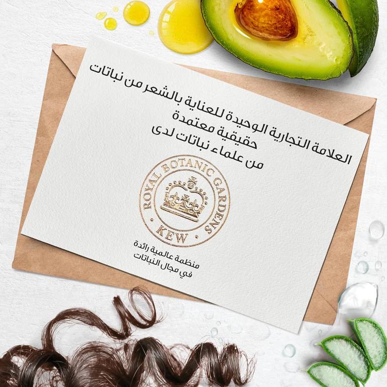 هيربل ايسنسز‏, شامبو مرطب للشعر الكيرلي, صبار وزيت الأفوكادو, 400مل