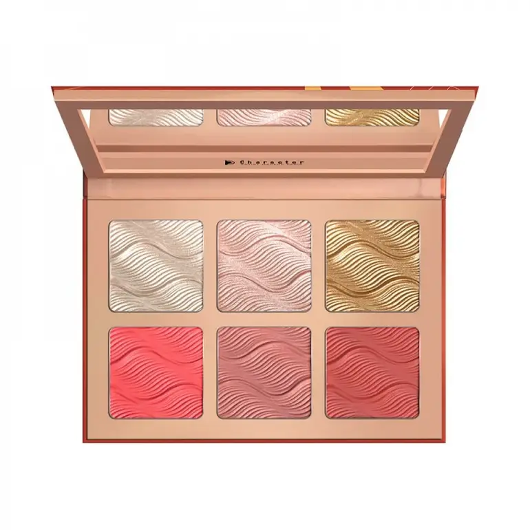  Character Glow & Blush Highlighter Palette 6 Colors - CBH001