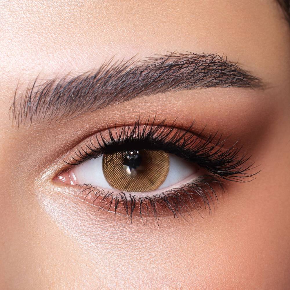 Bella Daily Lenses - Hazel Beige
