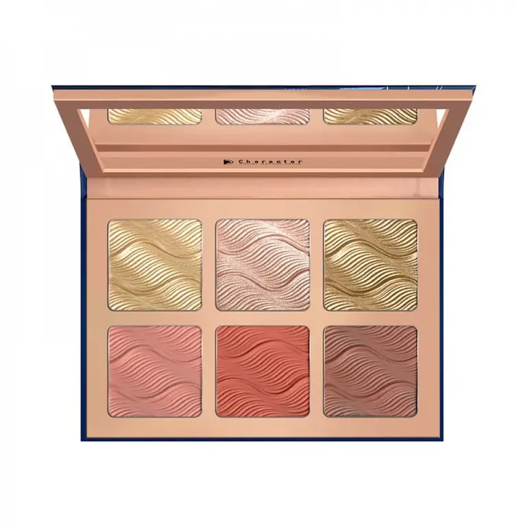 Character Glow & Blush Highlighter Palette 6 Colors - CBH003