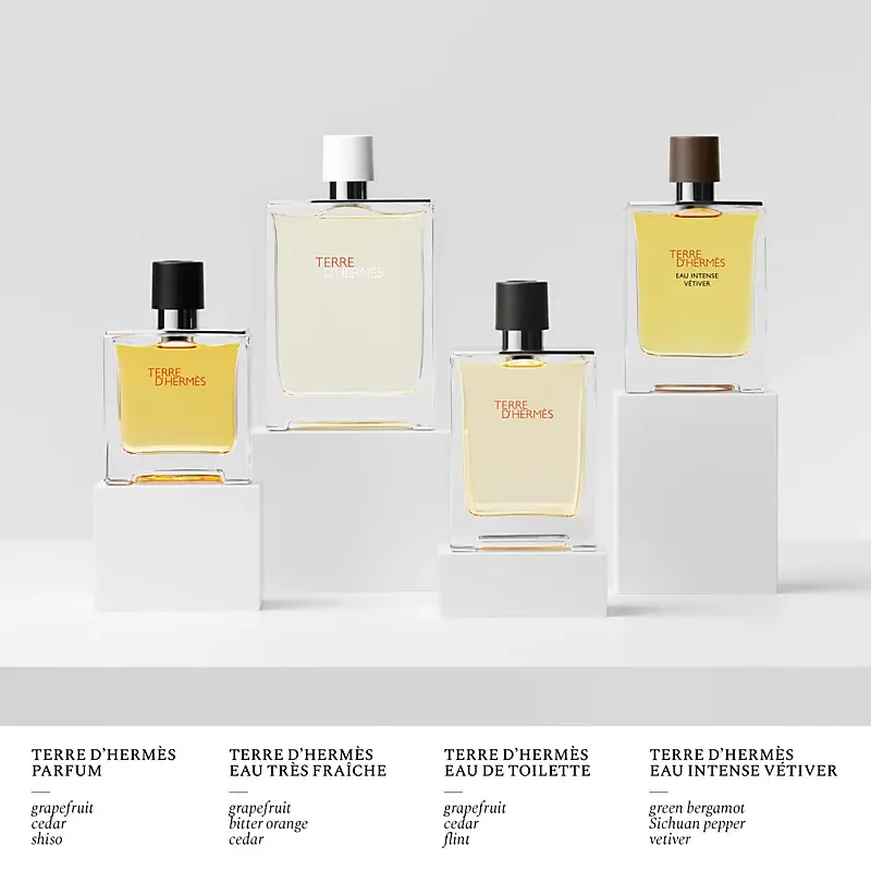 Hermes, Terre Hermes, Pure Perfume, for Men, 75ml