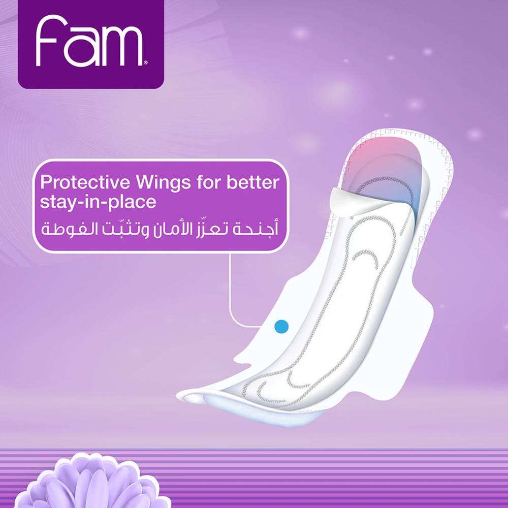 Fam Sanitary Napkins with Wings - Large 30 Pieces