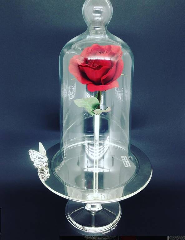 Medium Cake Stand with Butterfly on the Plate with Lid