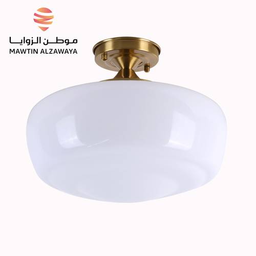 إنارة سقف داخلية - 01250