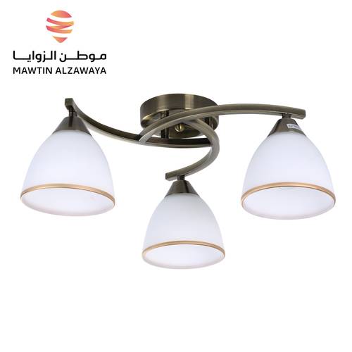إنارة سقف داخلية - 01242