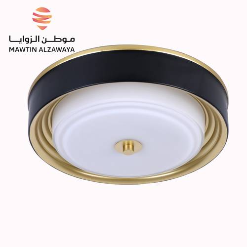 إنارة سقف داخلية - 01233
