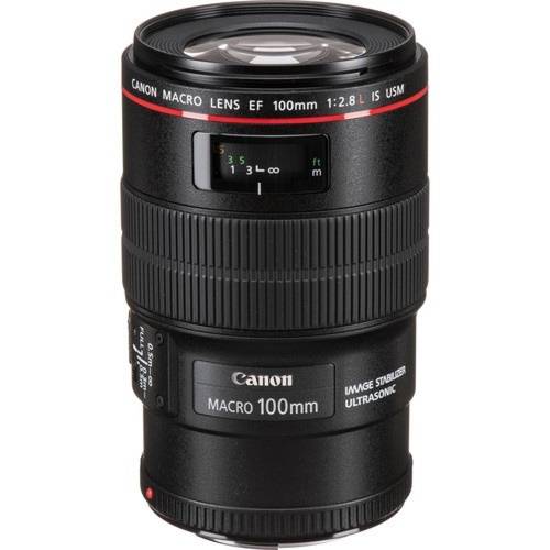 Canon EF 100mm f/2.8L Macro IS USM lens