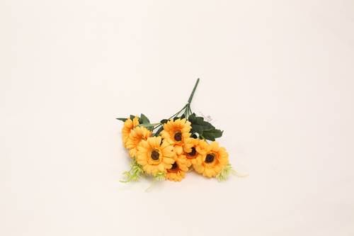 ورد جربارة برتقالي