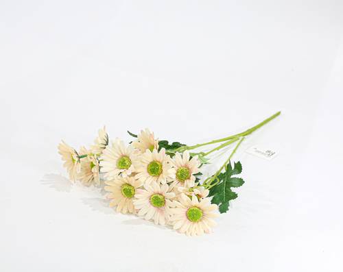 ورد جربارة خربزي