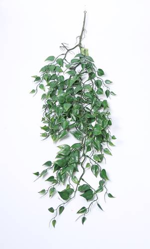 تعليق خضار اخضر