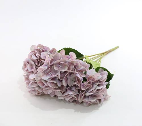 هدرنجا موف 