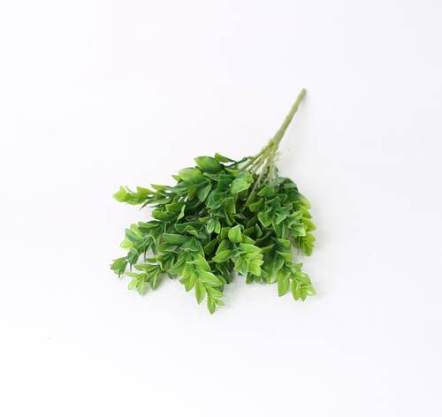 خضار للتنسيق اخضر