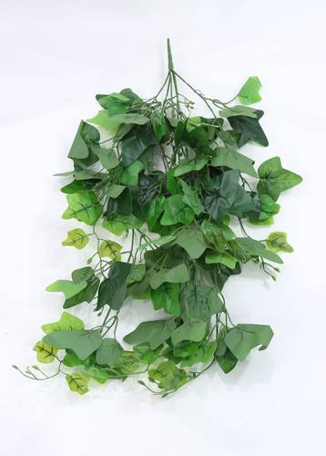 دلايات خضار اخضر