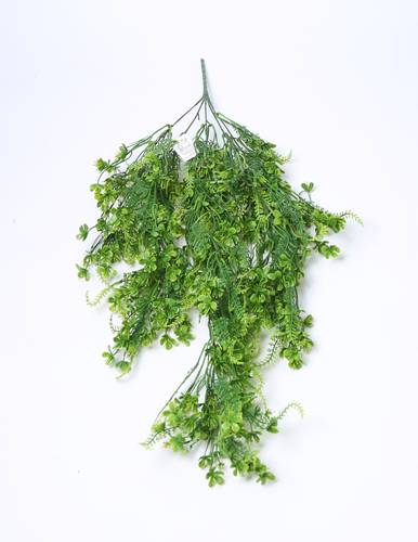 دلايات خضار اخضر