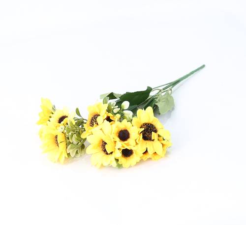 دوار الشمس اصفر