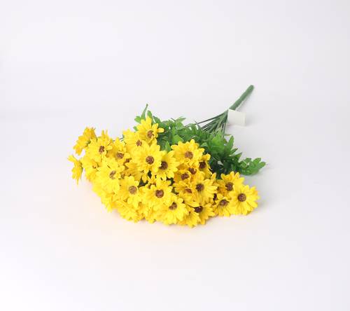 زهرة الياسمين اصفر
