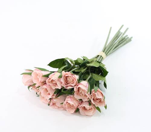 جوري ربطه زهري على موف 12 فرع 