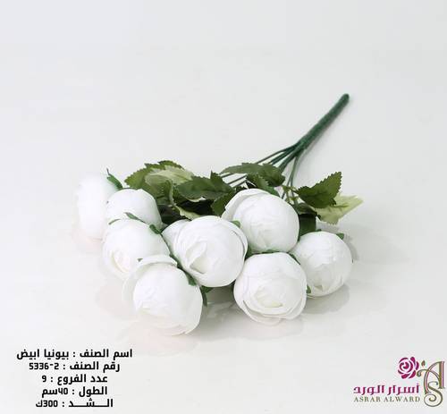 بيونيا ابيض