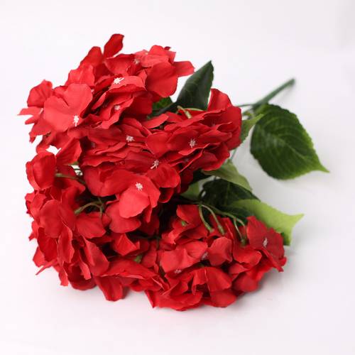 هدرنجا احمر 