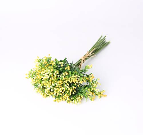 جبسو ربطه اصفر