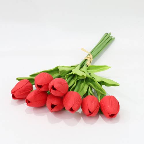 توليب احمر فاتح