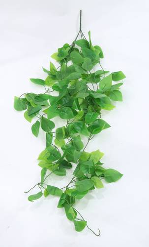 دلايات خضار اخضر