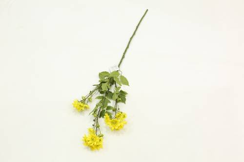 زهرة الاقحوان اصفر
