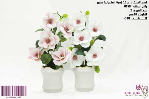 مركن زهور منغوليا ملون