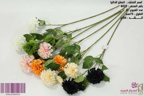 اغصان الداليا ملون