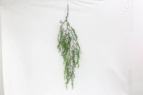 تعليق خضار