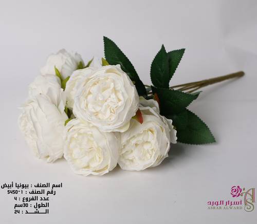 بيونيا ابيض