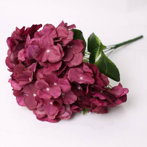 هدرنجه عنابي