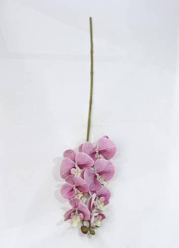 ورد اوركيد موف فاتح ملمس طبيعي