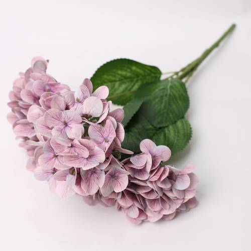 هدرنجا موف