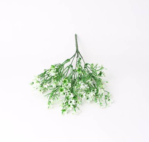 خضار تنسيق ابيض