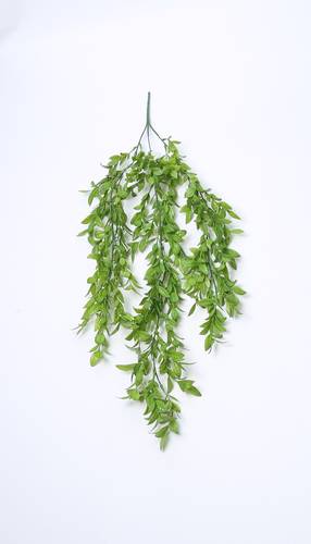 دلايات خضار اخضر