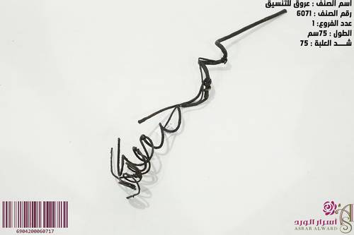 عروق للتنسيق
