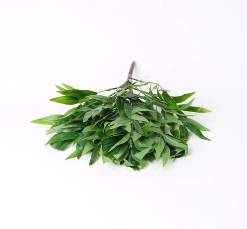 تنسيق خضار اوراق الغار اخضر