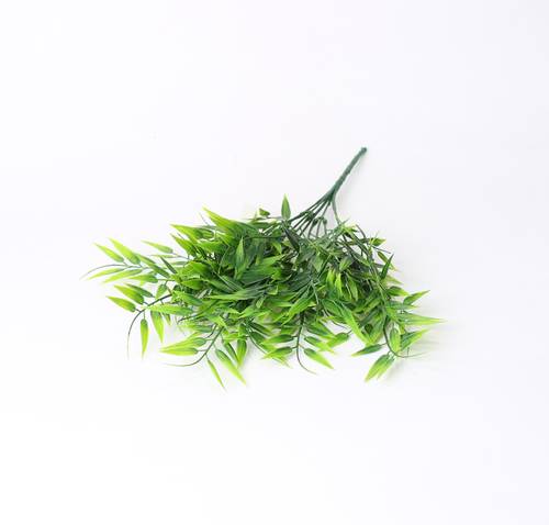 خضار تنسيق اخضر