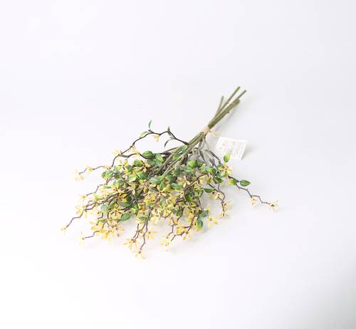 تنسيق خضار اصفر